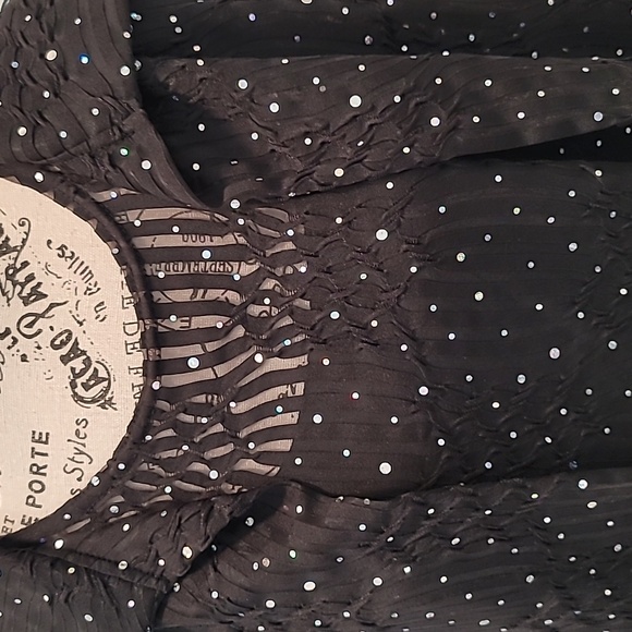 2 Piece Dressy Blouse & Shell Top - Picture 2 of 13